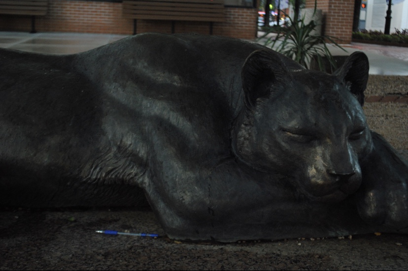 "The Sleeping panther" lying down at the proposed sighting of the downtown panther,  located at the corner of Main and Weatherford.