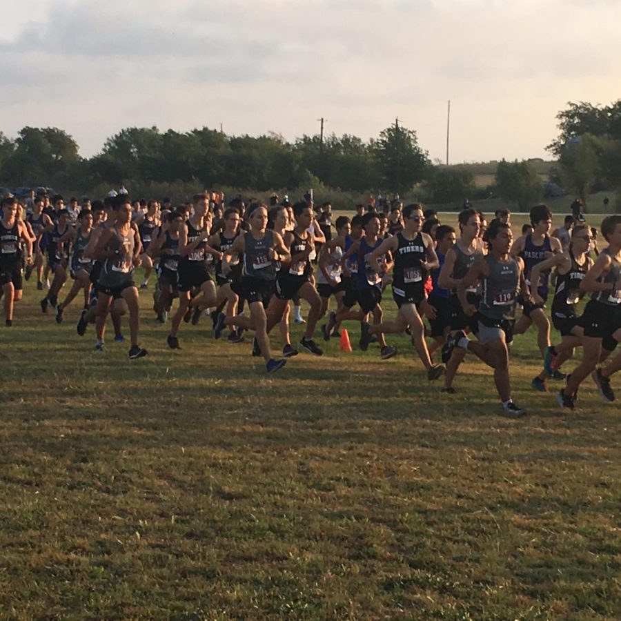 Paschal XC Invitational Pantherette