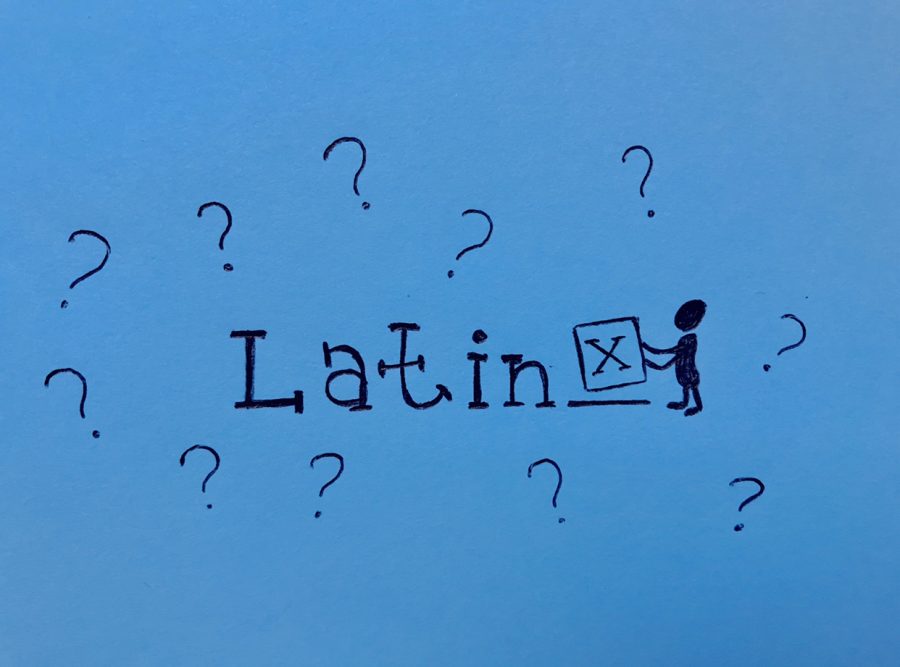 The controversial space left by the Latin American descriptor allows individuals to find their voice and represent their identities. 