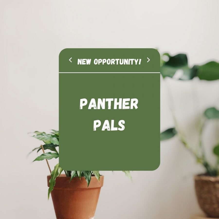 Panther+Pals%21