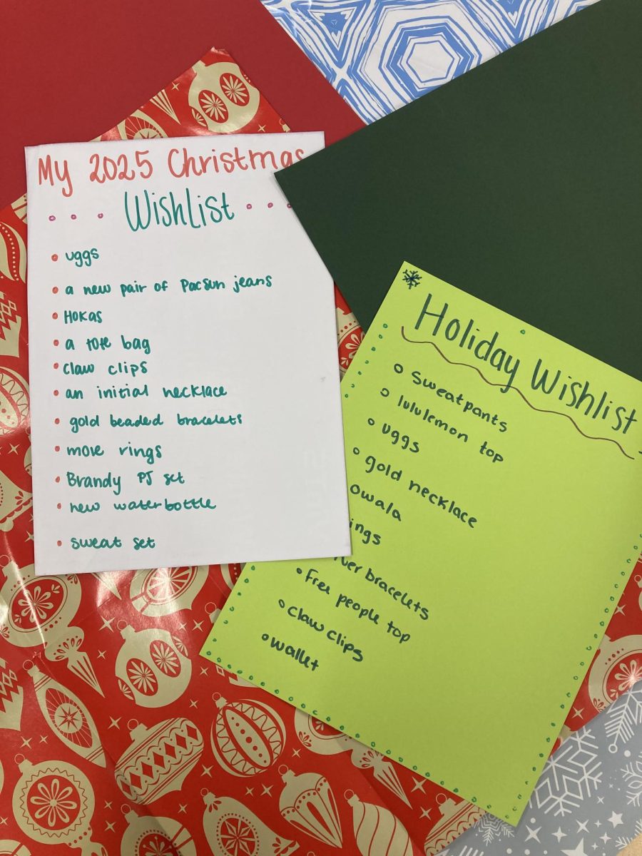 Two students' 2024 holiday wishlists