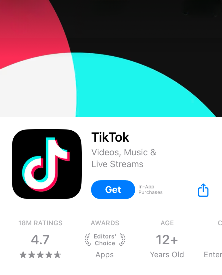 If the new law goes into effect, TikTok could be unavailable to download from the app store starting on January 19th. 