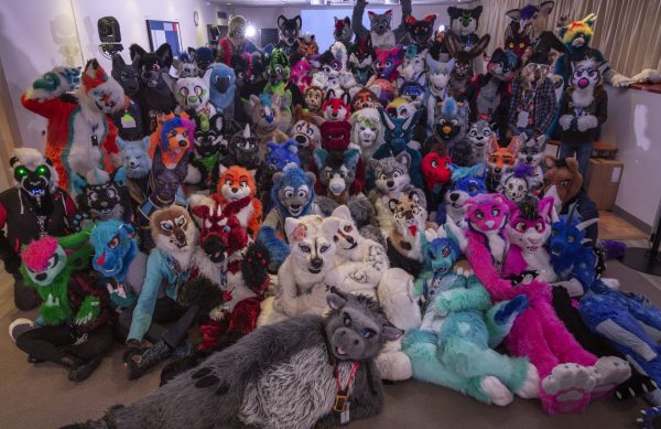 A Farewell to Furries in Schools?