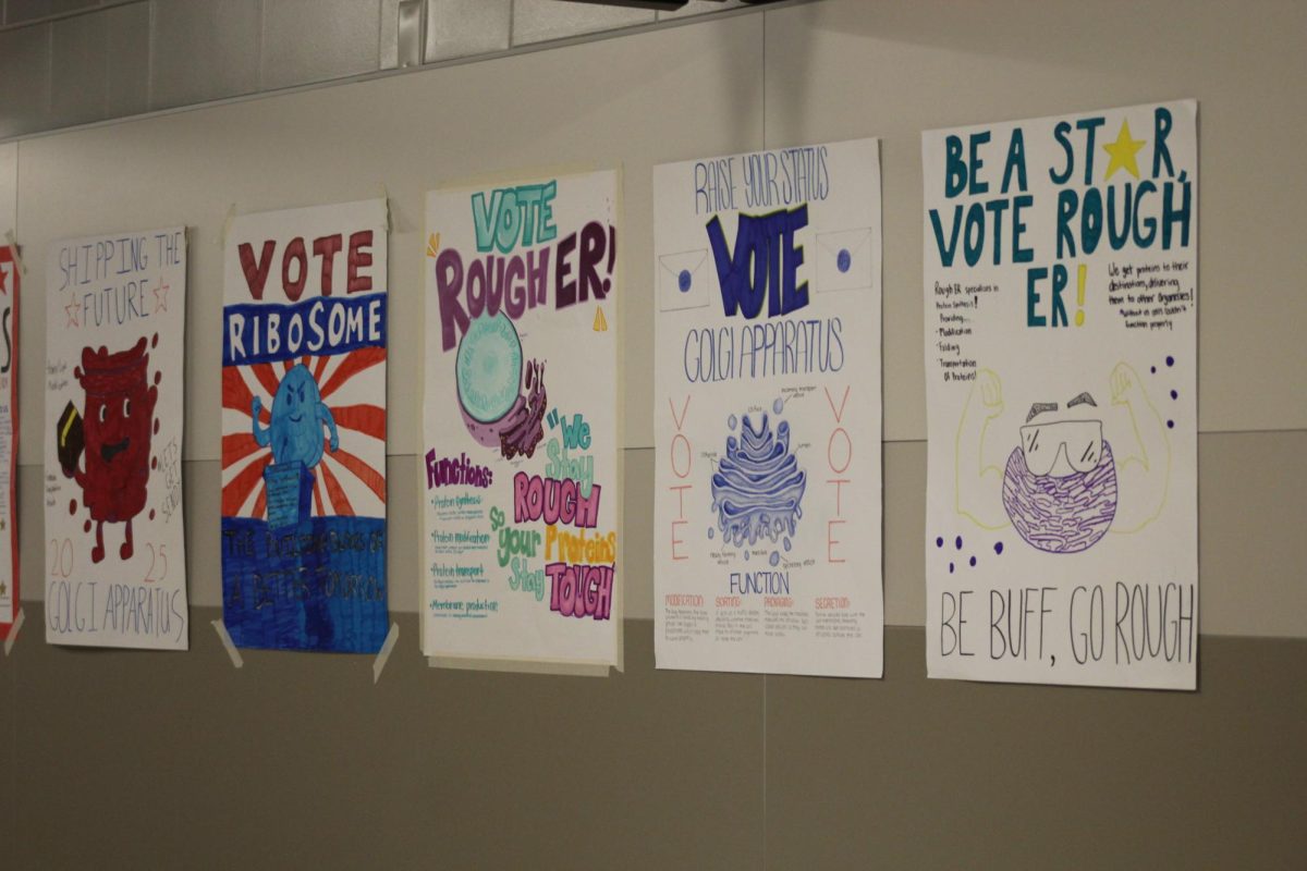 Campaign posters