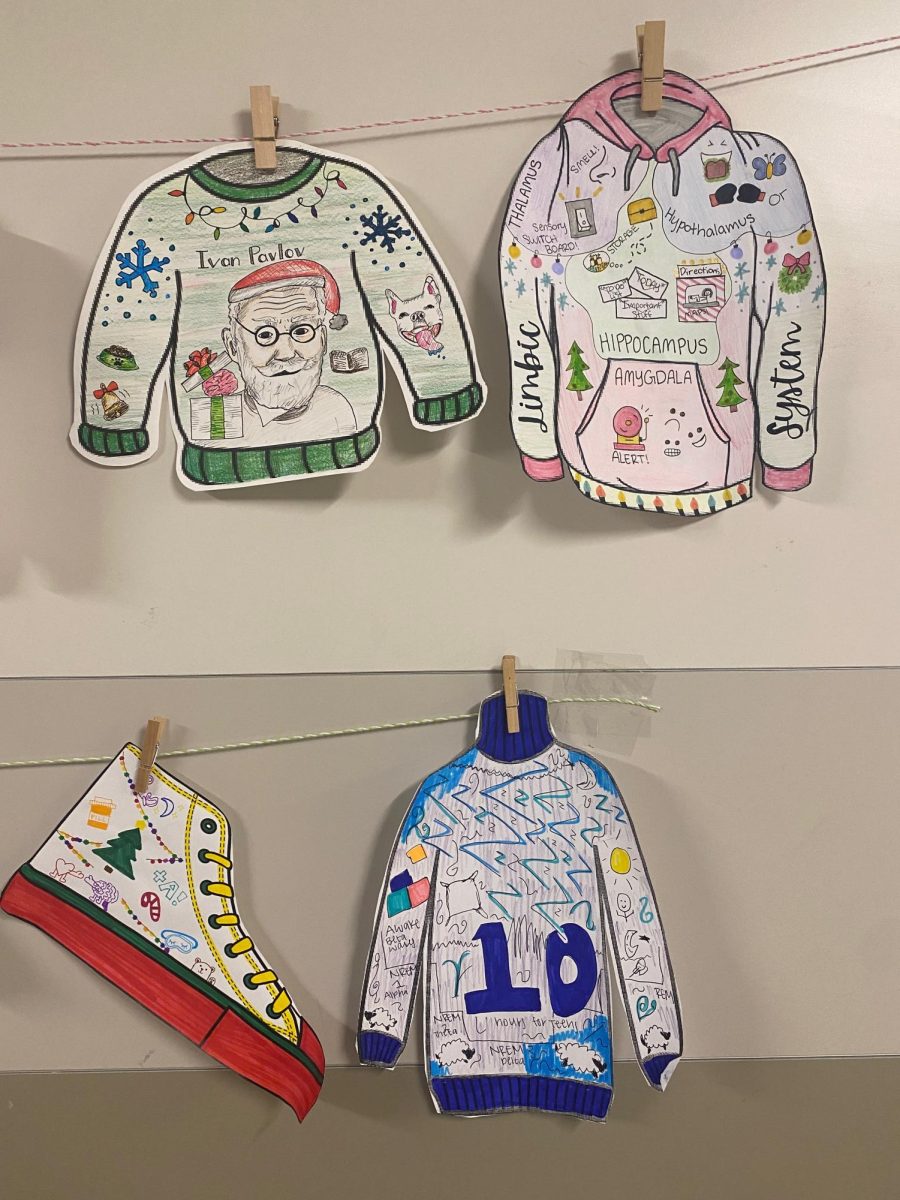 Christmas Sweaters from Mrs. Linker's AP Psychology class. 
